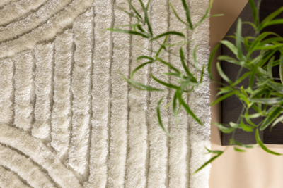 Kaimana Vloerkleed 290x200cm 