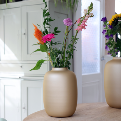 Vaas Artic matte gold