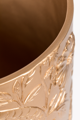 Bold Monkey vaas Songs of the night tiger