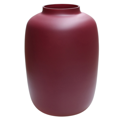 Vaas Artic matte violet