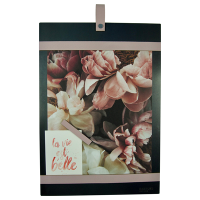 Magneetbord met magneetstrips