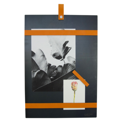 Magneetbord met magneetstrips