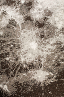 Zuiver buiten vloerkleed Moon