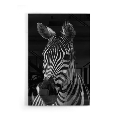 Walljar acrylglas schilderij - Mysterious Zebra