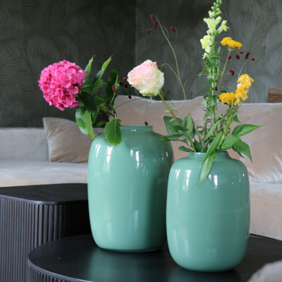 Vaas Artic pastel green