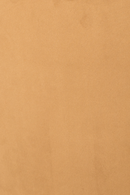 Dutchbone Barbara Eetkamerstoel - Set van 2