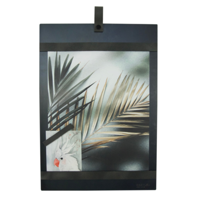 Magneetbord met magneetstrips