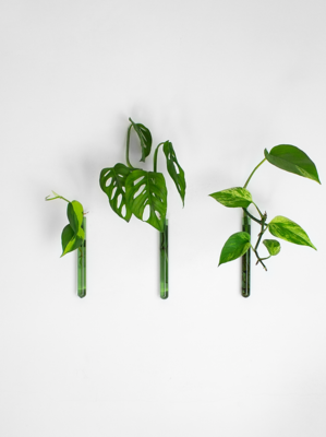 Muurbloempjes - set van 3