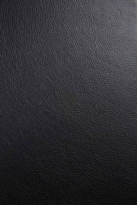 Ethnicraft - Bok stoel - zwart eiken