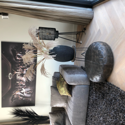 Pampasgras kunsttak 2 stuks