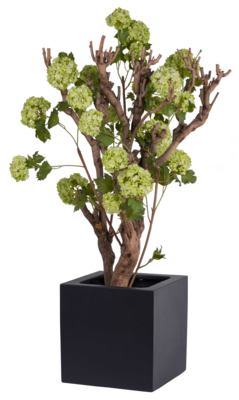 Plantenpot El Salvador black