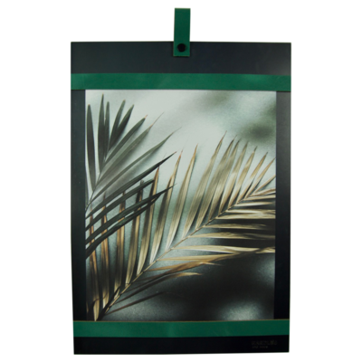 Magneetbord met magneetstrips